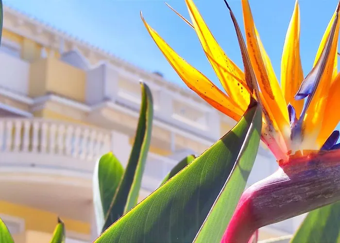 Playa Sol By Costa Appartamento Dénia